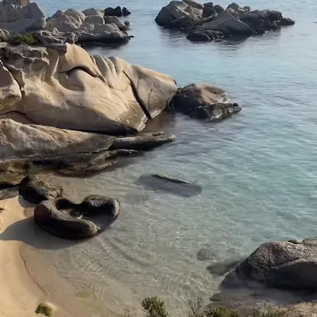 Palma Seaside 1 Сарти