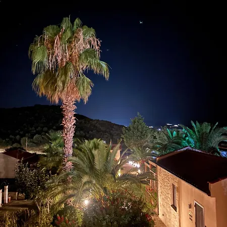 Palma Seaside 1 Sarti