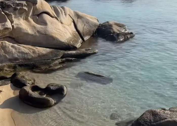 Palma Seaside 1 Sarti