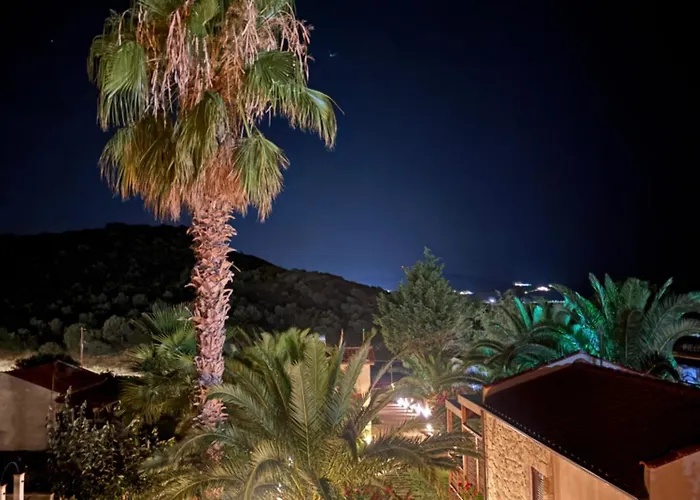 Palma Seaside 1 Sarti