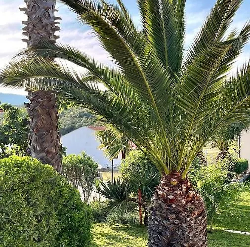 Дом отдыха Palma Seaside 1