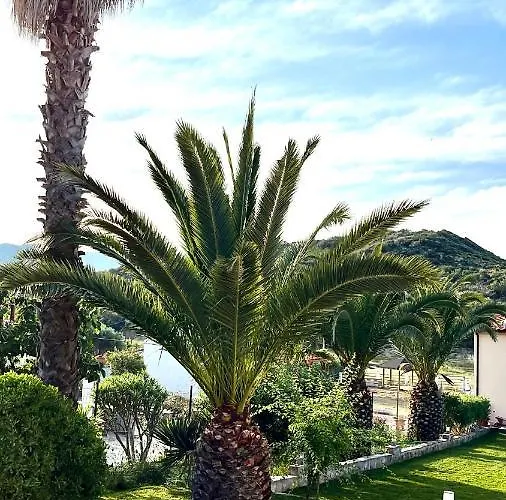 Palma Seaside 1 Дом отдыха *